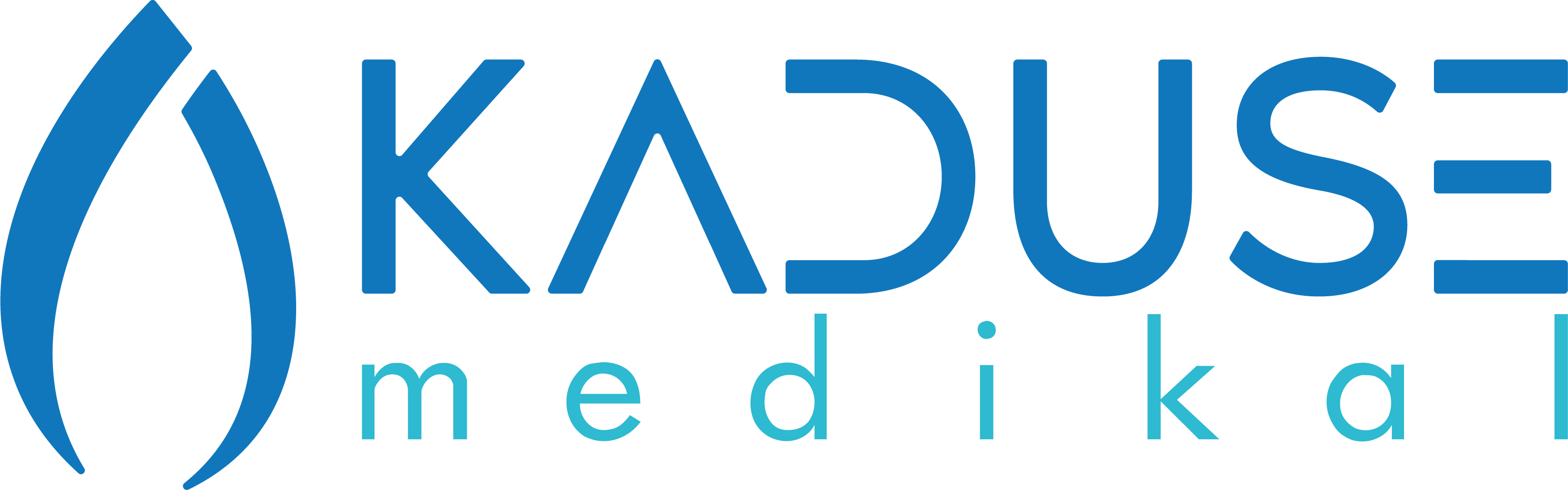 Kaduse Medikal Logo